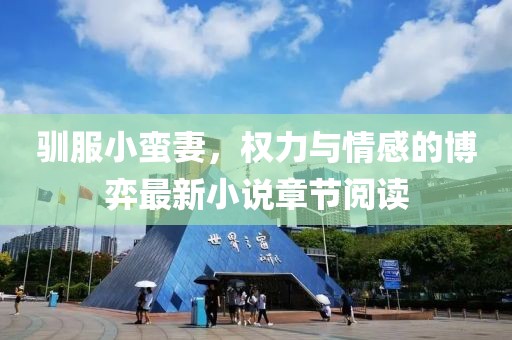 驯服小蛮妻，权力与情感的博弈最新小说章节阅读