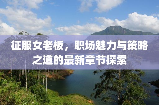征服女老板，职场魅力与策略之道的最新章节探索