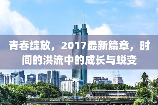 青春绽放，2017最新篇章，时间的洪流中的成长与蜕变