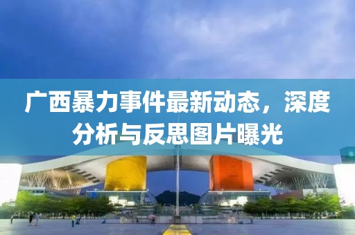 广西暴力事件最新动态，深度分析与反思图片曝光
