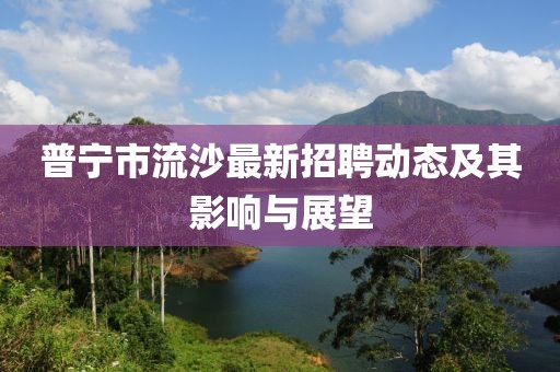 普宁市流沙最新招聘动态及其影响与展望