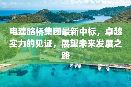 电建路桥集团最新中标，卓越实力的见证，展望未来发展之路