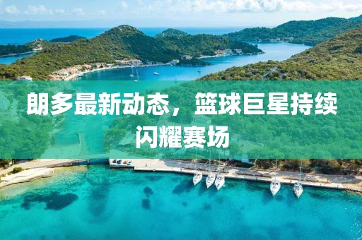 朗多最新动态，篮球巨星持续闪耀赛场