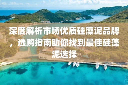 深度解析市场优质硅藻泥品牌，选购指南助你找到最佳硅藻泥选择