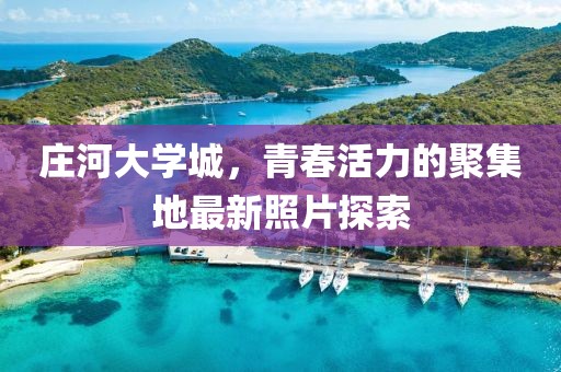 庄河大学城，青春活力的聚集地最新照片探索