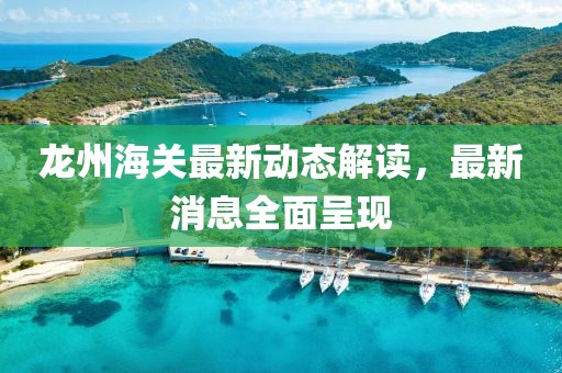 龙州海关最新动态解读，最新消息全面呈现