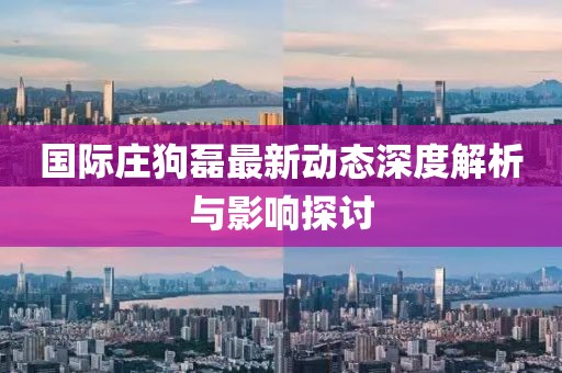 国际庄狗磊最新动态深度解析与影响探讨
