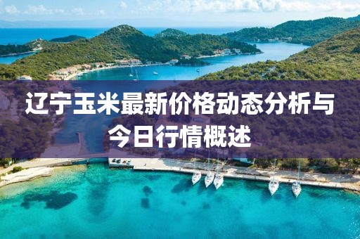 辽宁玉米最新价格动态分析与今日行情概述