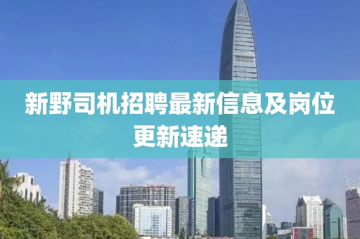 新野司机招聘最新信息及岗位更新速递