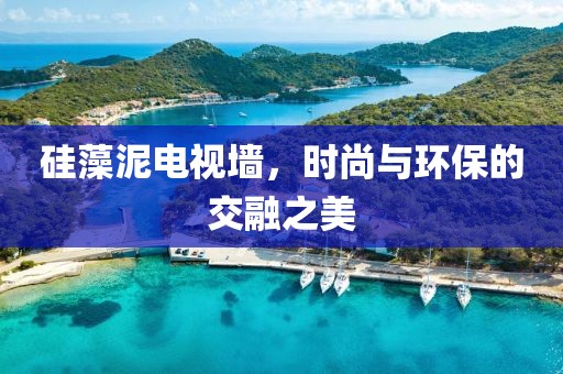 硅藻泥电视墙，时尚与环保的交融之美