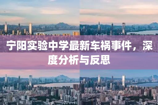 宁阳实验中学最新车祸事件，深度分析与反思