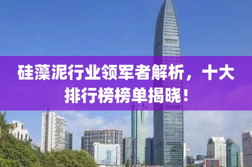 硅藻泥行业领军者解析，十大排行榜榜单揭晓！