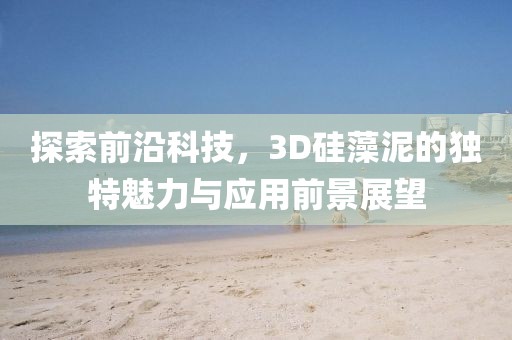 探索前沿科技，3D硅藻泥的独特魅力与应用前景展望