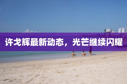 许戈辉最新动态，光芒继续闪耀