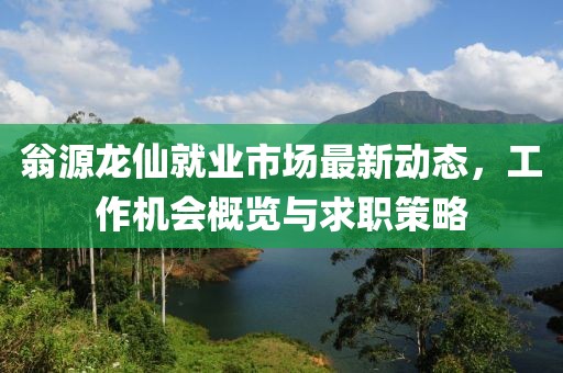 翁源龙仙就业市场最新动态，工作机会概览与求职策略