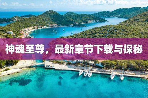 神魂至尊，最新章节下载与探秘
