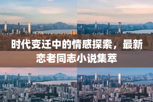 时代变迁中的情感探索，最新恋老同志小说集萃