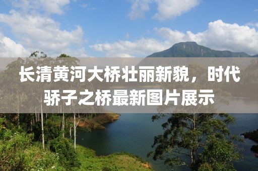 长清黄河大桥壮丽新貌，时代骄子之桥最新图片展示