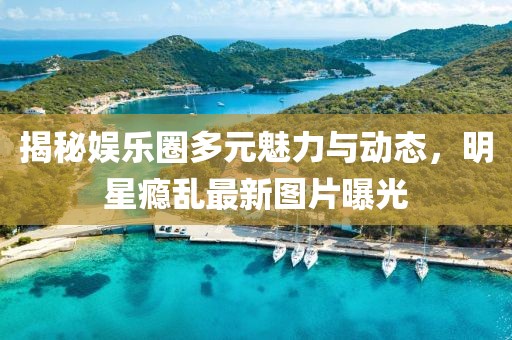 揭秘娱乐圈多元魅力与动态，明星瘾乱最新图片曝光
