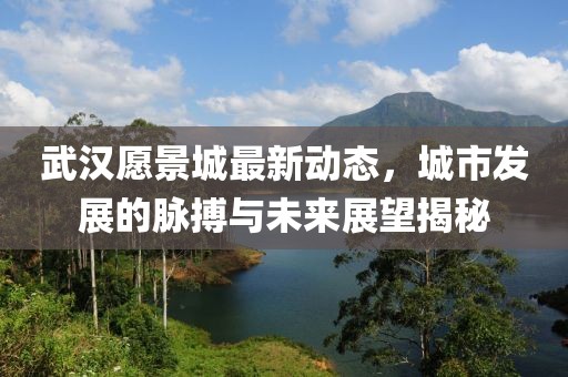 武汉愿景城最新动态，城市发展的脉搏与未来展望揭秘