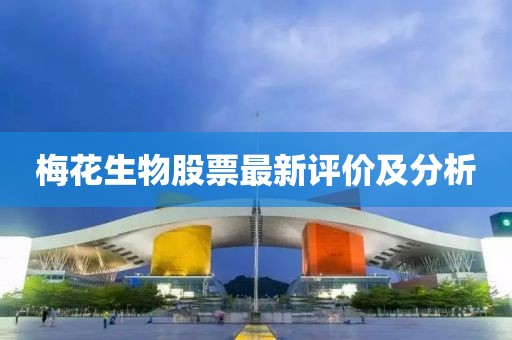 梅花生物股票最新评价及分析