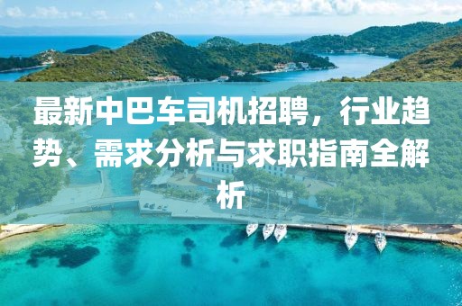 最新中巴车司机招聘，行业趋势、需求分析与求职指南全解析
