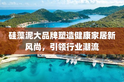 硅藻泥大品牌塑造健康家居新风尚，引领行业潮流