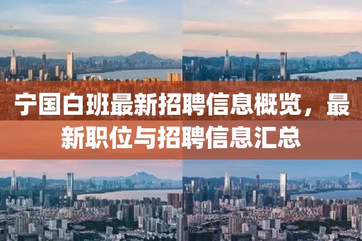 宁国白班最新招聘信息概览，最新职位与招聘信息汇总