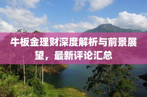 牛板金理财深度解析与前景展望，最新评论汇总