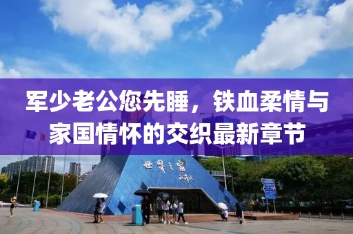 军少老公您先睡，铁血柔情与家国情怀的交织最新章节