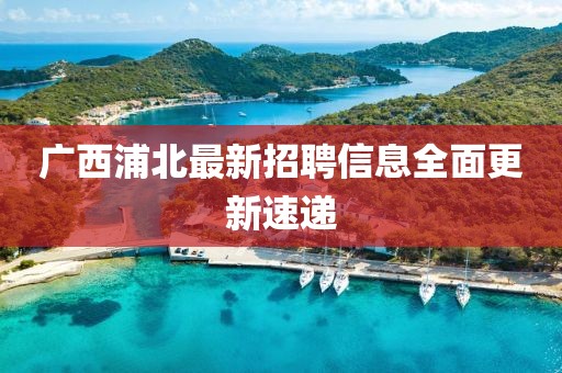 广西浦北最新招聘信息全面更新速递