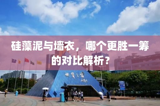 硅藻泥与墙衣，哪个更胜一筹的对比解析？