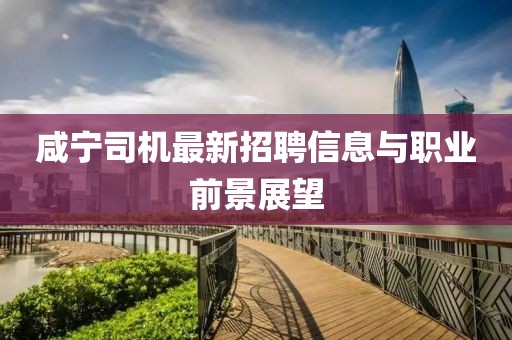 咸宁司机最新招聘信息与职业前景展望