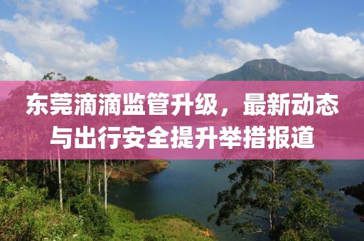 东莞滴滴监管升级，最新动态与出行安全提升举措报道