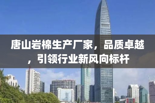 唐山岩棉生产厂家，品质卓越，引领行业新风向标杆