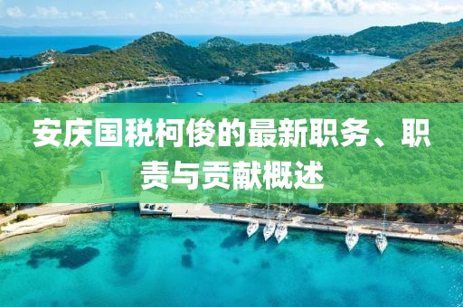 安庆国税柯俊的最新职务、职责与贡献概述