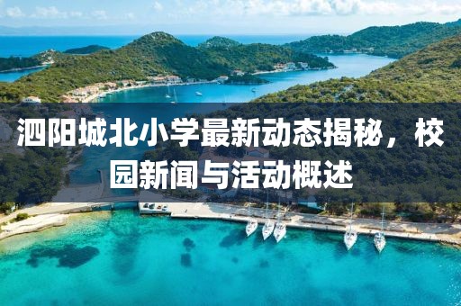 泗阳城北小学最新动态揭秘，校园新闻与活动概述