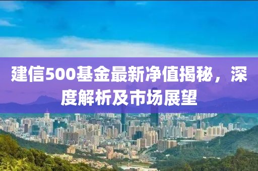 建信500基金最新净值揭秘，深度解析及市场展望