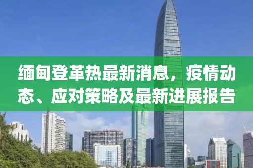 缅甸登革热最新消息，疫情动态、应对策略及最新进展报告