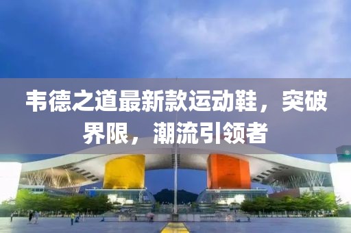 韦德之道最新款运动鞋，突破界限，潮流引领者