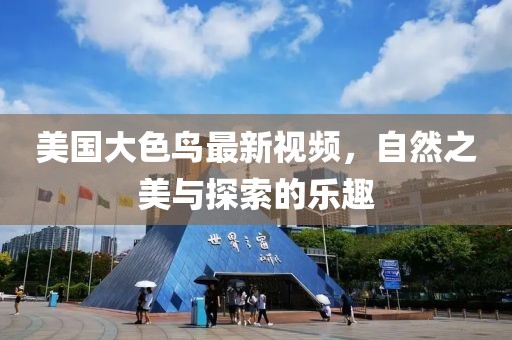 海静 第12页