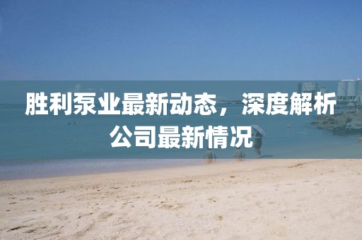 胜利泵业最新动态，深度解析公司最新情况