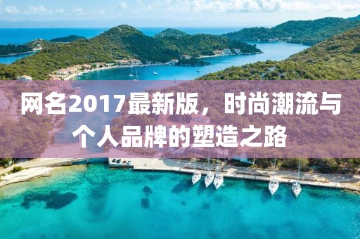 网名2017最新版，时尚潮流与个人品牌的塑造之路