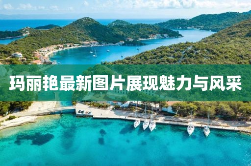 玛丽艳最新图片展现魅力与风采