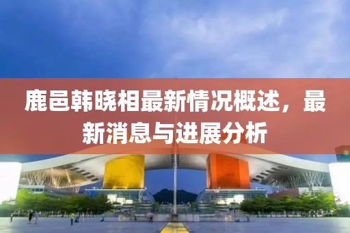 鹿邑韩晓相最新情况概述，最新消息与进展分析