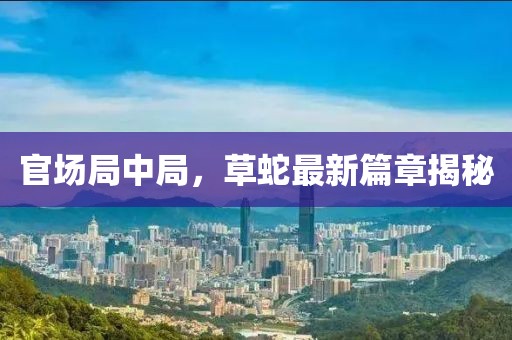 官场局中局，草蛇最新篇章揭秘