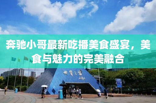 奔驰小哥最新吃播美食盛宴，美食与魅力的完美融合