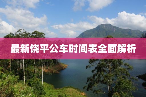 最新饶平公车时间表全面解析