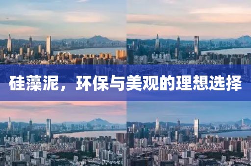 硅藻泥，环保与美观的理想选择