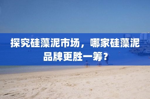 探究硅藻泥市场，哪家硅藻泥品牌更胜一筹？